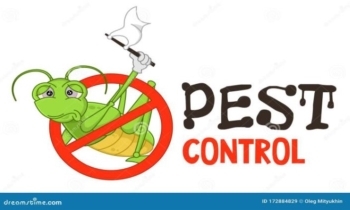 Pest Control. Sick cricket waving a white flag.