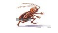 Cockroach running clipart.