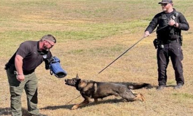 Two police officers do an activity with a K9 dog.